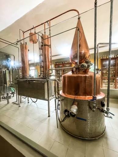 Paratiana Distillery view